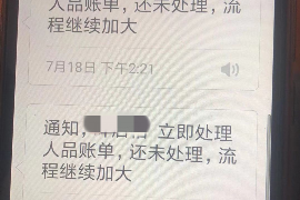 乐山专业讨债公司有哪些核心服务？